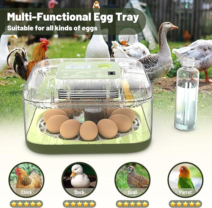 12 Egg Incubator with Automatic Egg Turning and Humidity Control, LED Egg Candling Light, Customized Incubation Days, Incubators for Hatching Eggs, Chicken Quail Parrot Pigeon Birds, Green