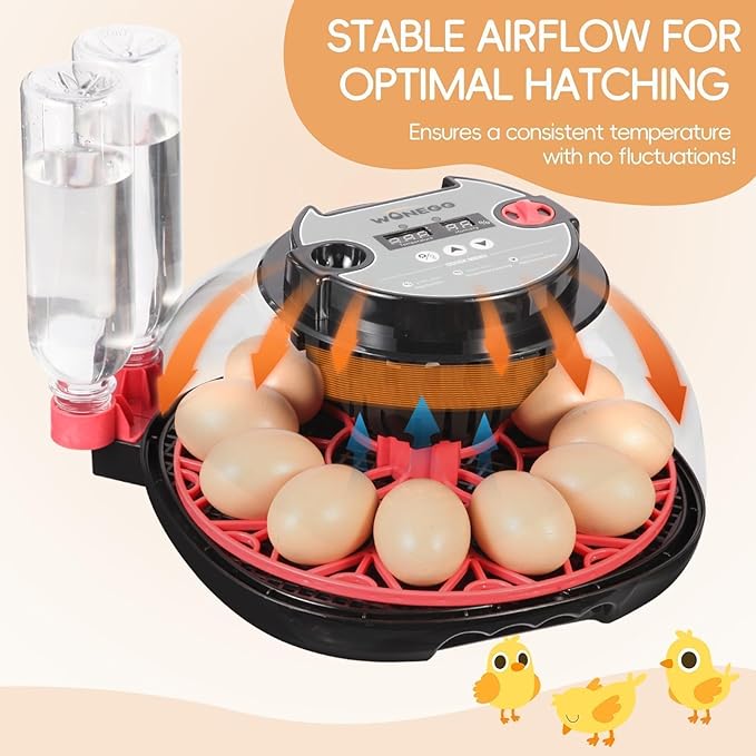 Series II - 12 Egg Automatic Incubator for Beginners, Smart Adaptive Humidity (Dual-Bottle) & Auto Temp Control, Auto Egg Turn, Real-Time Display, Candler, 360° View for Hatching Poultry Eggs