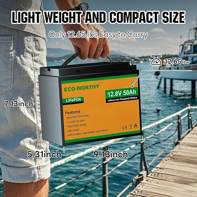 ECO-WORTHY 12V Portable Well Pump Kit with 50AH Lithium Battery and 10A Charger – Submersible DC Water Pump for Deep Well, Off-Grid, Farm, Ranch