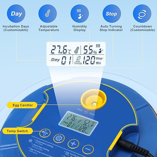 18 Egg Incubator for Hatching Chicken, Duck, Quail Eggs – 360° Visible Lid, Automatic Turning & Humidity Control, Built-in Egg Candler – Ideal for Home & Classroom Science Projects
