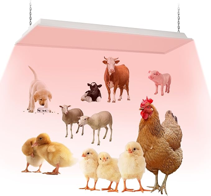 40"x11" Large Overhead Infrared Heater, 150W Chick Brooder Lamp for 50-75 Chicks, Safe and Energy Efficient Adjustable Hanging Heat Lamp with Uniform Heat for Chicken Coops, Pigs, Indoor & Outdoor