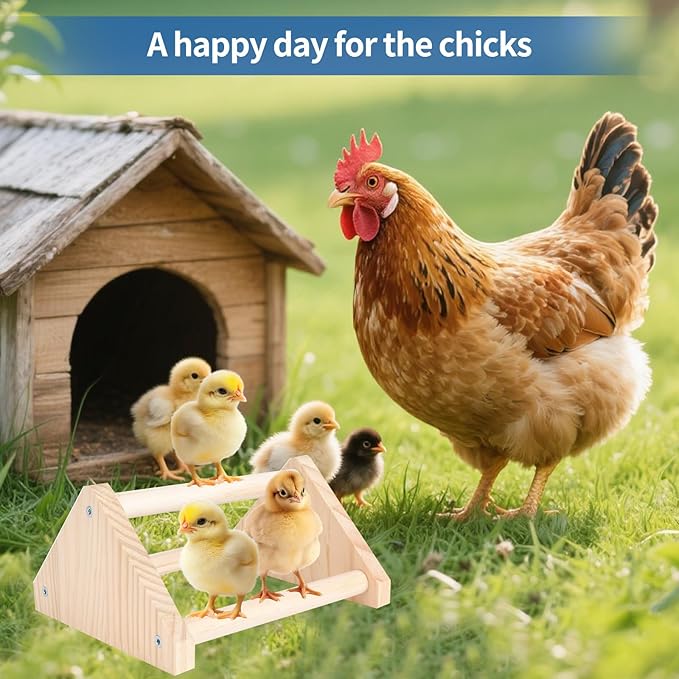Chicken Roosting Perch - Chicken Coop Accessories & Supplies for Chicks - Natural Solid Pine Wood, Hand - Polished - Ideal Roosting Toy for Birds, Chicks & Parrots