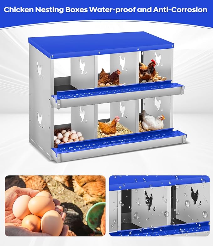 Chicken Nesting Box for Laying Eggs, 6 Compartment Metal Nesting Box,Wall Mount Chicken Nesting Boxes,Easy Egg Collection,Laying Boxes for Chickens Coop to Protect Eggs (Blue, 6 Compartment)