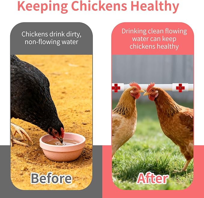 12 Pack Horizontal Chicken Waterer Nipples with 1/2'' PVC Tee Fittings, DIY Automatic Chicken Watering System for Chickens, Ducks, Quail, Geese and Other Poultry