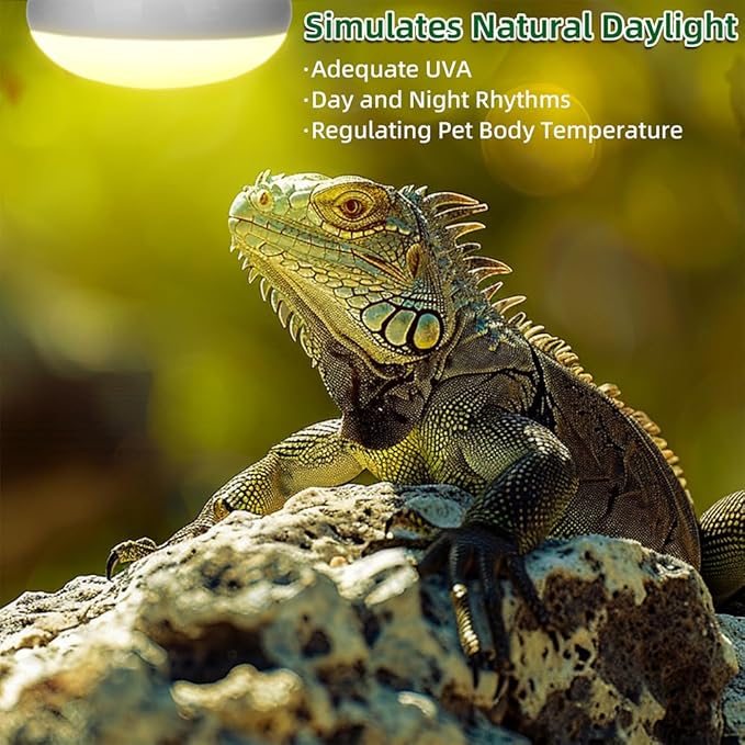 Reptile Heat Lamp 100W Amphibians Basking Light Bulb UVA Heat Lamp Bulbs Daylight Basking Spot Light for Lizards Bearded Dragon Turtles Snakes Chickens Pet Brooder (2 Pack)