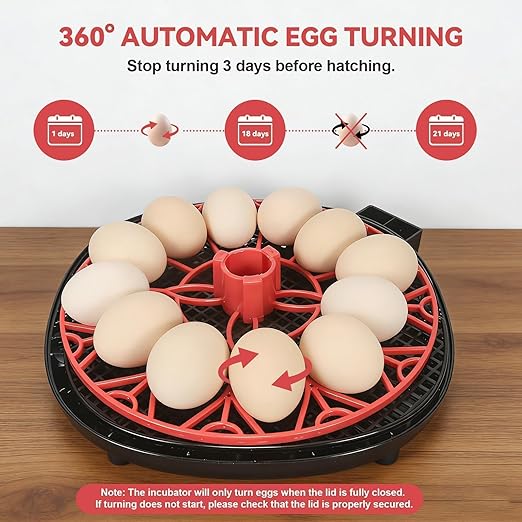 2nd Gen - 12 Egg Automatic Incubator, Two-Stage Humidity with Auto-Refill & Stable Temp Control, Auto Egg Turning, Candler, Real-Time Display for Hatching Chicken, Goose, Duck, Quail, Pigeon