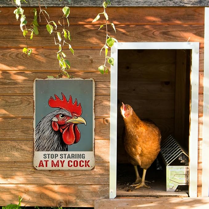 Funny Chicken Gifts for Women, Stop Staring at My Cock Aluminium Plate Signs, Humorous Chicken Decor for Home Farmhouse Coop, Rustic Wall Art Decorations 8 X 12 Inch Metal Signs