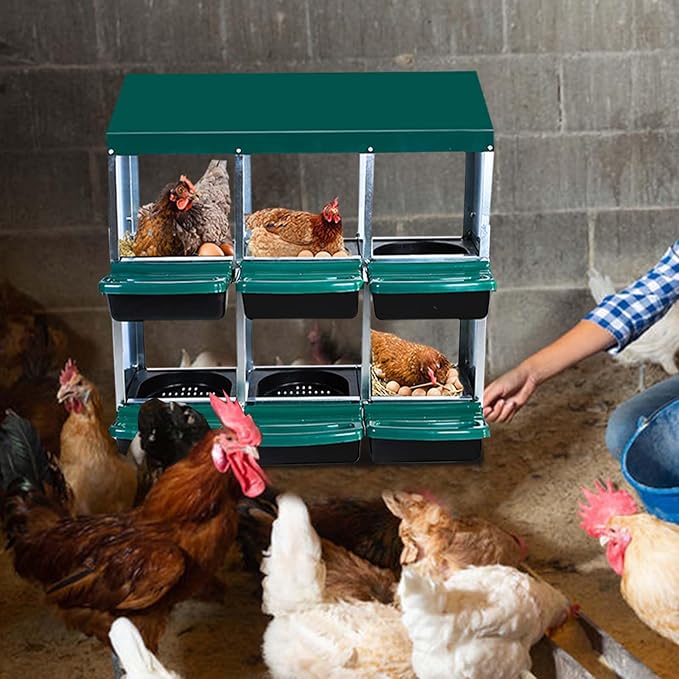 6-Compartment Roll-Away Metal Chicken Nesting Box – Durable Hen Laying Box with Protective Lid, Easy Egg Collection, Stand with Bracket Legs for Coops, Green