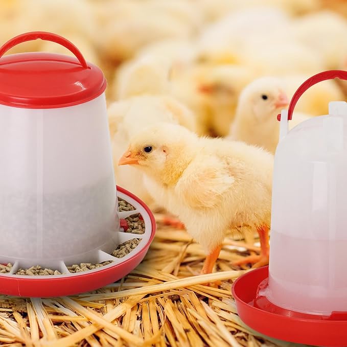 Chicken Feeder and Waterer Kit,Chick 1.5kg Flip Top Feeder and 1.5 L Waterer for Ducks/Quail,Automatic Baby Chick Starter Set for Small Poultry