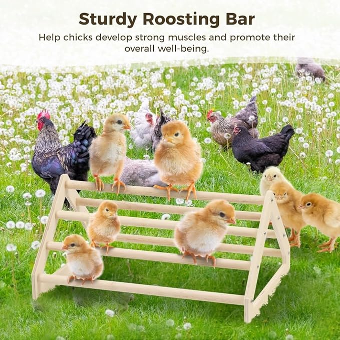 Chick Jungle Gym Perch, Chicken Natural Wood Roosting Bar, Perfect Stand for Hens and Parrots, Fun Toy Bar for Baby Chicks