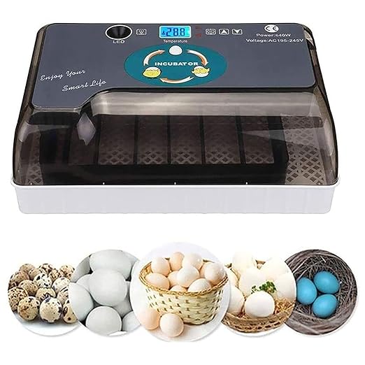 Egg Incubator with Automatic Turning, Digital Poultry Hatcher for 12-35 Eggs, Egg Candling, Temperature Control for Chickens, Ducks, and Quails