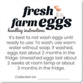 100 Pack Premium Fresh Farm Eggs Handling Instructions Stickers Labels Care Accessories | Egg Blank Cartons 4 6 12 15 18 30 48 50 Count Basket Box Container Storing Extra Organizer -M14SS100