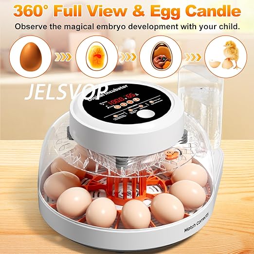 Upgraded Egg Incubator for Hatching Eggs, 12 Egg Capacity with Automatic Egg Turner, Temperature & Humidity Control, LED Egg Candler, Chick Incubator for Chicken, Duck & Quail Eggs