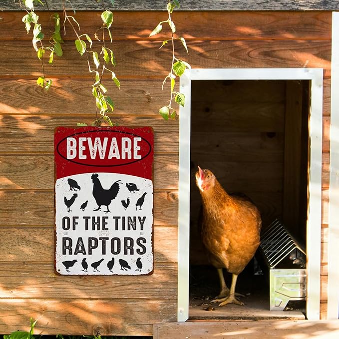 Funny Chicken Gifts for Women Farm Enthusiasts, Beware of The Tiny Raptor Aluminium Plate Signs, Humorous Chicken Decor for Farmhouse Coop Kitchen, Rustic Wall Art Decorations 8 X 12 Inch Metal Signs