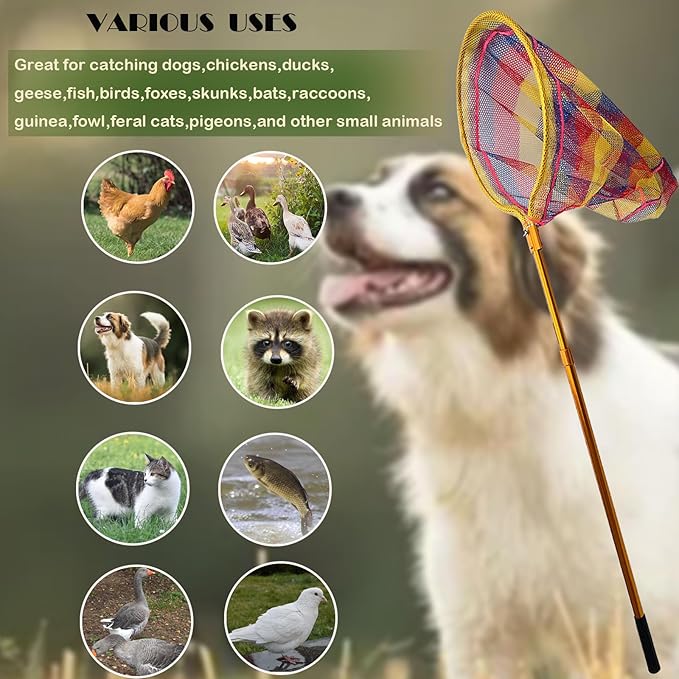 Animal Catch Pole Control Tool,Multi-Functional Catcher Net for Dog,Cat,Rabbit,Chicken,Duck,Goose,Fish,Bird,Raccoon and Others Poultry(67~98" Telescoping Handle with 20" Net Opening)
