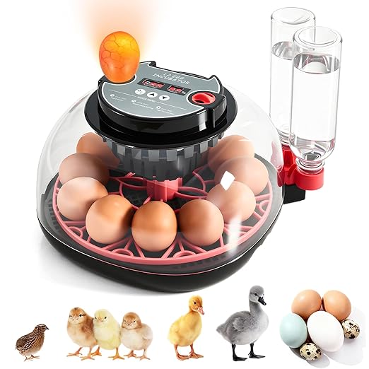 Incubators for Hatching Eggs - 12 Egg Capacity, Egg Incubator with Automatic Egg Turning and Temperature Control, Incubator for Chicken, Duck, Goose, Quail, 360° Full View, Home Farm Classroom Use