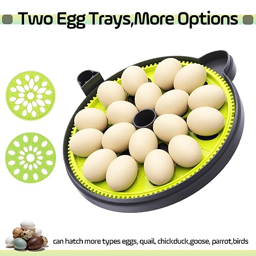 Egg Incubator with Automatic Egg Turning and Humidity Control,Egg Turner Auto Stop,Built in Day Counter,Egg Candler,Humidifier,18 Egg,Quail Parrot Chicken Duck Goose Hatch At Home