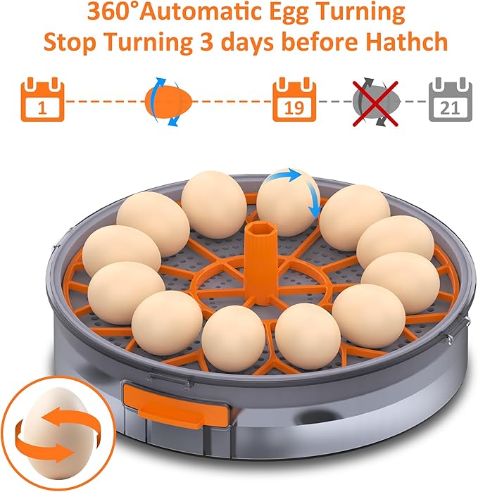 12 Incubators for Hatching Eggs, Egg Incubator with Automatic Egg Turning and Humidity Control, Intelligent Egg Incubator with Automatic Temp. Adjustment