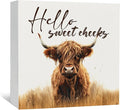 Highland Cow Bathroom Decor Sign, Hello Sweet Cheeks Wooden Box Signs, Highland Cow Gifts For Women Lovers,6x6