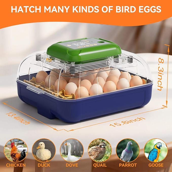 Incubators for Hatching Eggs, 25 Egg Incubator with Automatic Egg Turning and Humidity Control, Temp Control, Hatch Day, 360° Viewing for Chicken, Duck, Quail Eggs, Ideal for Farm, School and Lab