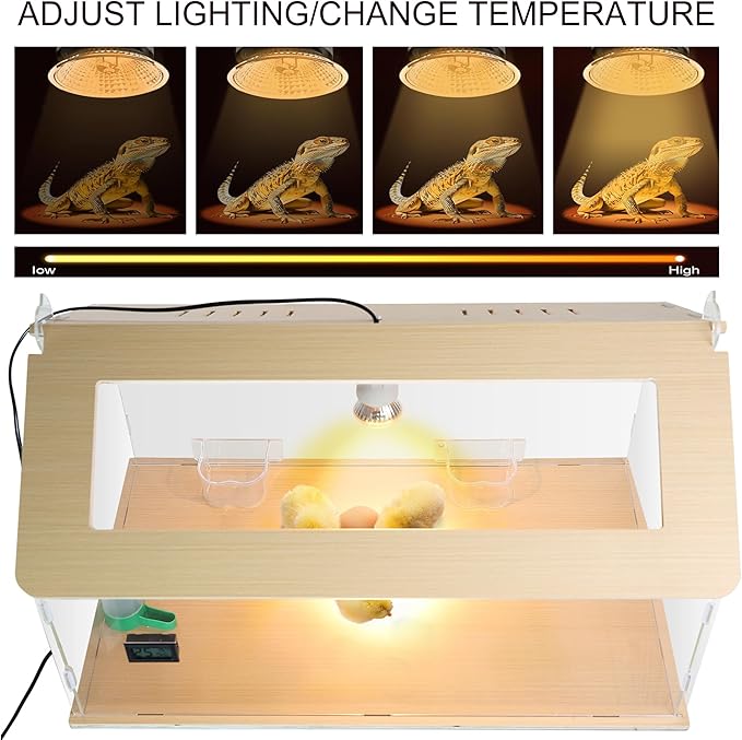 25~40 Newborns Chick Brooder Box Quail Cage Bird Playground Egg Incubator Chick Starter Kit Tortoise Habitat