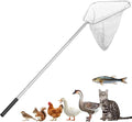 Heavy Duty Chicken Net Catcher - 17-65Inch Adjustable Stainless Steel Pole, 19Inch Large Opening Animal Net for Poultry/Birds/Fish, Foldable Metal Frame