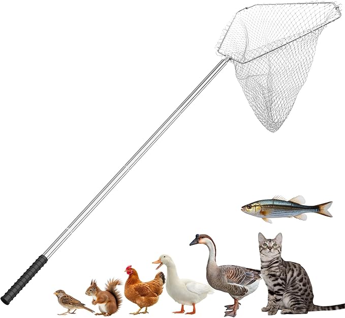 Heavy Duty Chicken Net Catcher - 17-65Inch Adjustable Stainless Steel Pole, 19Inch Large Opening Animal Net for Poultry/Birds/Fish, Foldable Metal Frame