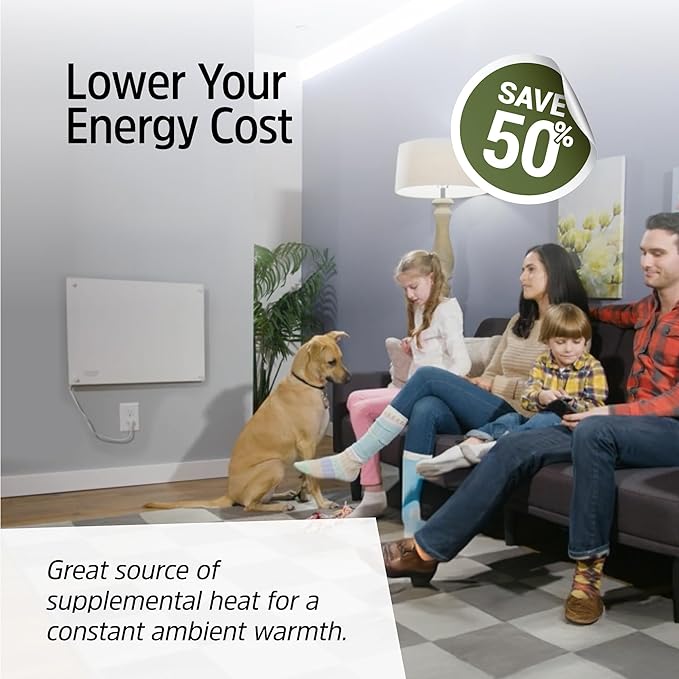EconoHome Convection Wall Heater with Thermostat - 250W Electric Wall Mounted Space Heater Panel - Updated Model, 120V - Heats Rooms up to 120 Sq Ft