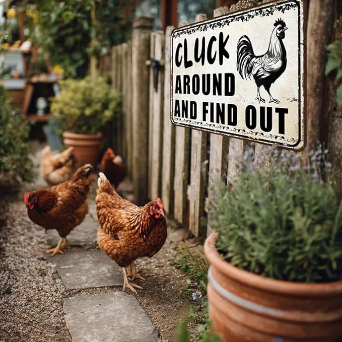 Funny Chicken Signs Chicken Coop Accessories Rooster Decorations Chicken Gifts Stuff For Farmhouse Garden Decor 8 x 12 Inch
