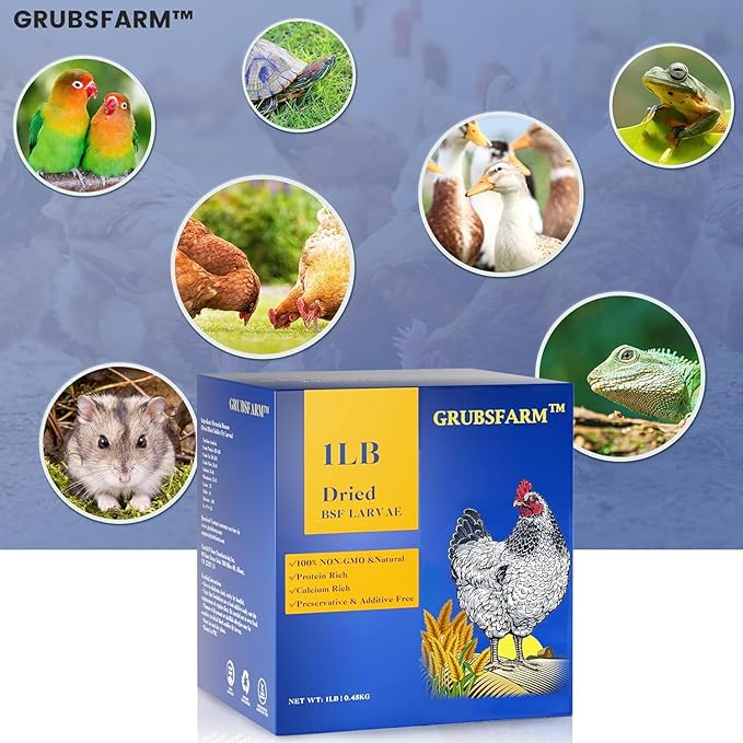 GRUBSFARM Black Soldier Fly Larvae-Chicken Treats 1LB-100% Natural Non-GMO Molting&Laying Supplement