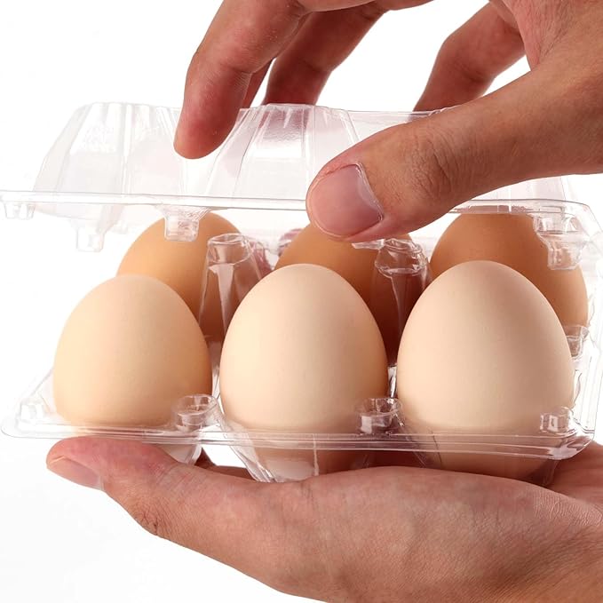 JAPCHET 150 Pack Clear 6 Egg Carton, Empty Plastic Egg Cartons for Chicken Egg Storage and Transport for Kitchen, Market and Farm