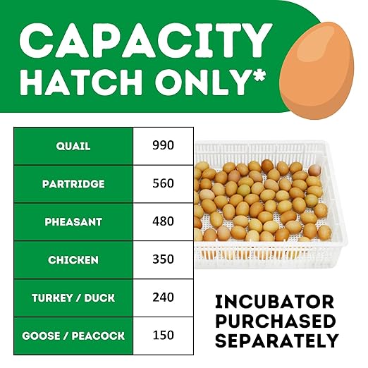 Incubators for Hatching Eggs – HB350H Egg Incubator Hatcher, Automatic & Self-Regulated Temperature & Humidity, Chicken Egg Incubator, Professional Cabinet Poultry Incubator by Cimuka