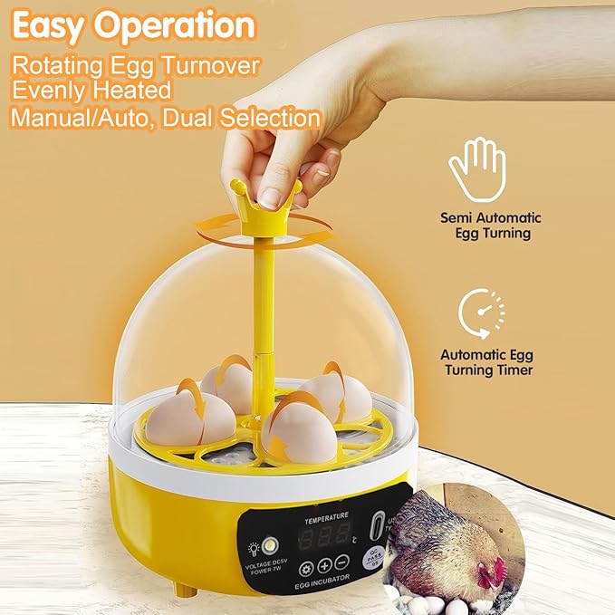 Tissting 4 Eggs Mini Incubator with Transparent Lid,7W Automatic Temperature Humidity Control,Household Small Poultry Hatching Machine,for Chickens Ducks Pigeons (Manual Turning)