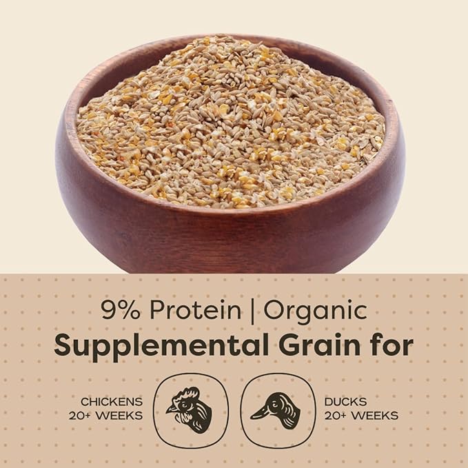 Scratch and Peck Feeds Whole Grain Scratch + Corn Chicken and Duck Supplemental Grain - 25 lbs Bag - Soy-Free - 9% Protein, Certified Organic and Non-GMO Project Verified Chicken Food
