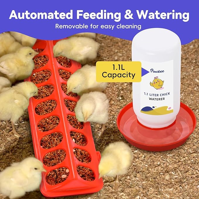 Pawaboo 5-in-1 Chicken Brooder Box for Chick Starter Kit, Includes Pet Cage Tent, Chicks Perch, Chick Feeder, 1.1L Chicks Waterer, Chicken Supplies (Brooder Set), Green + Red + Wood Color