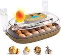 24-Egg Incubator: Auto Egg Turner, Precise Temp Control, Auto Water Refill, Candler | 360° Full Clear View | Fits Chicken/Duck/Quail/Goose/Parrot Eggs | Farm/Home/Classroom Use