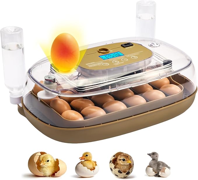 24-Egg Incubator: Auto Egg Turner, Precise Temp Control, Auto Water Refill, Candler | 360° Full Clear View | Fits Chicken/Duck/Quail/Goose/Parrot Eggs | Farm/Home/Classroom Use