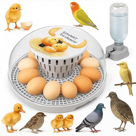 Egg incubators for Hatching Eggs, Automatic Egg Turning 12-24 Poultry Incubator with Temperature Control,Automatic Water Adding,℉ Display,360° View for Hatching Chickens, Duck,Quail,Goose Eggs (M12)