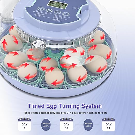 18 Egg Incubator for Hatching Chicks, Automatic Egg Turner Holds 18 Eggs, Smart Incubator 360° Clear Window with Temperature and Humidity Display Egg Candler for Small Poultry Ducks Quails Eggs