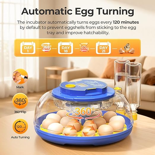 18 Egg Incubators for Hatching Eggs, 360° View with Automatic Egg Turning & Humidity Control, Built-in Egg Candler for Hatching Chicken, Duck, Goose, Quail, Ideal for Home, Classroom, Laboratory, Farm