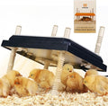 Brooder Heater for Chicks: Chick Brooder Heating Plate with Easy- Cleaning Plate Poultry Coop Heater Chicks Warmer 10" x 10" for 15 Chicks Adjustable Height Brooding Heater 15 Watts