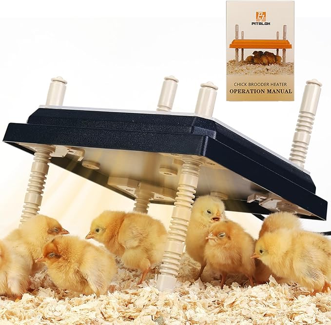 Brooder Heater for Chicks: Chick Brooder Heating Plate with Easy- Cleaning Plate Poultry Coop Heater Chicks Warmer 12" x 12" for 20 Chicks Adjustable Height Brooding Heater 22 Watts