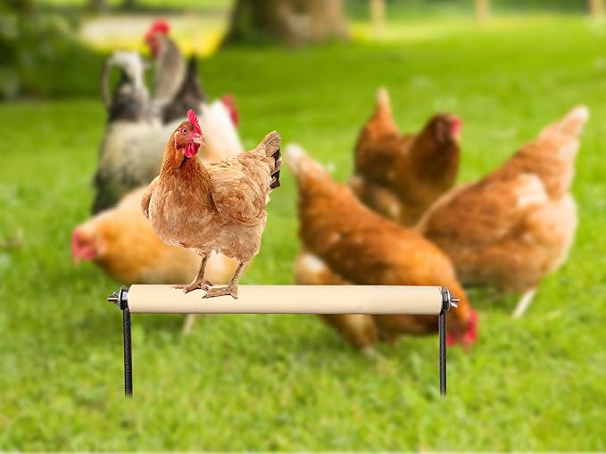 Chicken Perch Toys, Wooden Chick Perch Stand with Metal Ground Plug, Outdoor Birds Training Platform, Chicken Coop Accessories, Suitable for Poultry Rooster Chicks Large Birds Chicks Parrots