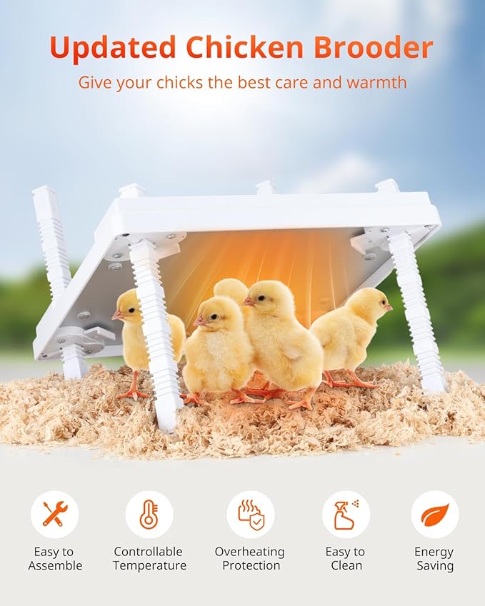 Chick Brooder Heating Plate, 12"x12" Chick Heat Plate with Adjustable Height & Angle, 30W Lower Energy Chick Heater Brooder Plate with Temperature & Time Control, Suitable for 20 Baby Chicks