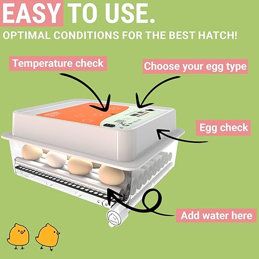 OBI-36 Egg Incubator for Hatching - 36 Eggs - Stable Temperature & Humidity Control with Eggloo Insulation, Candler - Ideal for Families and Farms - Suitable for Chicken, Duck, Quail Eggs