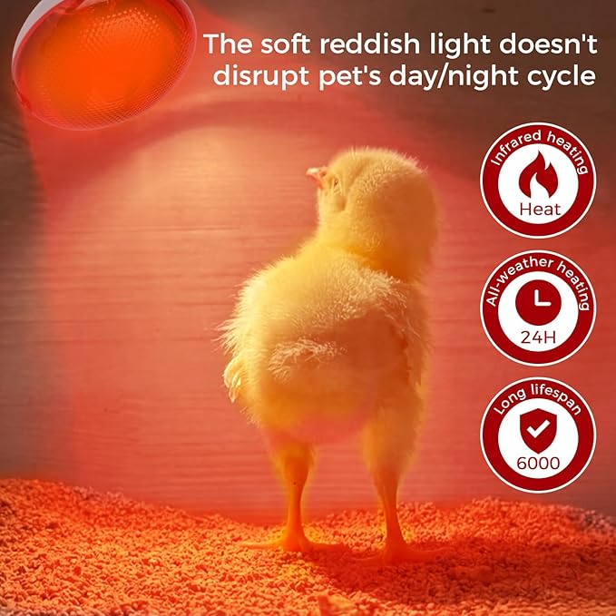Infrared Heat Lamp for Chickens, 150 Watts Red Heat Lamp Bulb, Heat Light Bulb for Brooder Coop, Food Service, Chicks, Pet, Reptile, 2 Pack