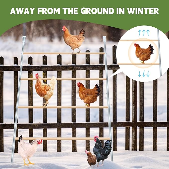 Wenqik Large Chicken Perch Chicken Roosting Bars for Coop Easy Installation Ladder for Backyard Poultry Galvanized Wood Entertaining Roost Toys for Hen Coop Accessories(55'' L x 41'' W)