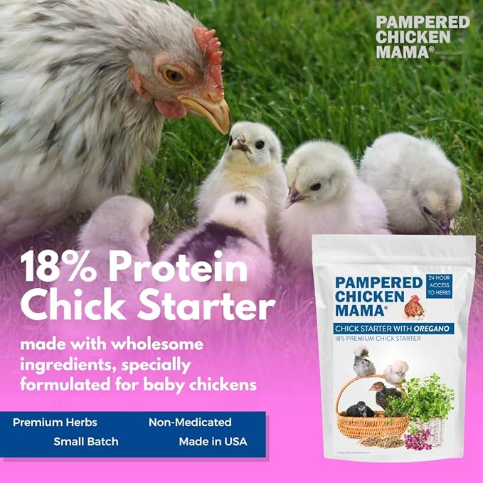 Pampered Chicken Mama Backyard Chick Starter Food - All-Natural Backyard Baby Chick Food Supplies for Baby Chickens & Ducks - Chick Starter Grower - Herbal Blend for Chicks (40 pounds)