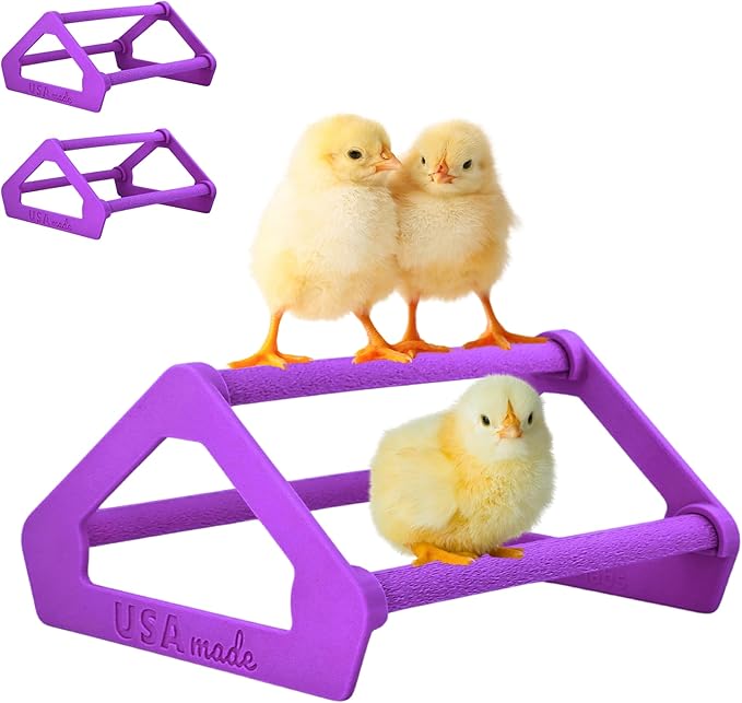 Roosting Perch for Baby Chickens, Chick Brooder Coop Training Toy Accessory, Easy Click Together Assembly, Durable Plastic, Mix and Match Colors, USA Made (Purple, 3 Pack)