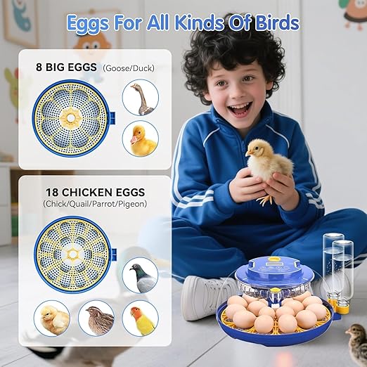 Egg incubators for Hatching Eggs, Automatic Egg Turning 12-24 Poultry Incubator with Temperature Control,Automatic Water Adding,℉ Display,360° View for Hatching Chickens, Duck,Quail,Goose Eggs (M18H)
